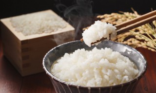 红枣米饭怎么做 制作红枣米饭的方法