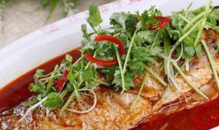 砂锅焖鱼做法窍门 怎么做砂锅焖鱼