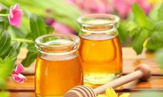 蜂蜜食用3大禁忌 食用蜂蜜的3大禁忌