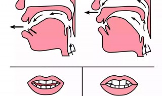 平翘舌区分的技巧 平翘舌区分的技巧分享