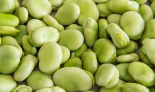 干蚕豆怎么保存不生虫 干蚕豆不生虫的保存方法