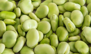 蚕豆怎么吃 清炒蚕豆的烹饪方法