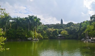 南宁有什么好玩的地方景点推荐 南宁哪些景点必去