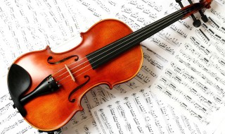怎样挑选小提琴 小提琴的挑选方法