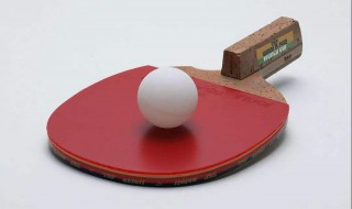 乒乓球技巧有哪些 打乒乓球有哪些技巧