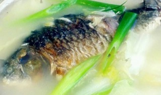 白菜焖鲫鱼做法步骤 如何制作白菜焖鲫鱼