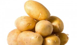 土豆粉制作的方法 土豆粉制作流程