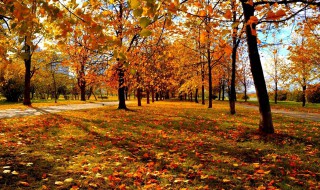 怎样写秋天的景色 描写秋天的景色的句子