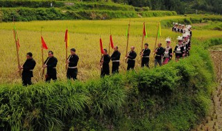 丰收节是哪个民族的 丰收节是啥民族的