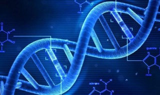 什么是基因库 基因库是什么意思