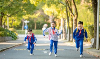 各地原来的学籍号是什么意思 各地原来的学籍号意思是什么