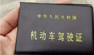 驾照多久没审会过期 关于驾照的扩展资料