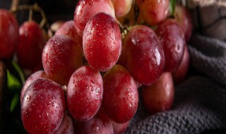红宝石葡萄种植技术 如何种红宝石葡萄