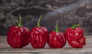 世界上最辣的辣椒 你知道有哪些吗