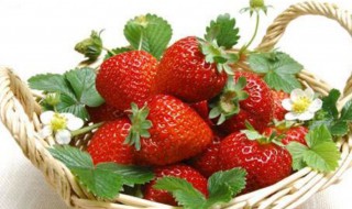 草莓的营养价值及功效与作用 草莓有什么营养价值