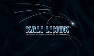 kali Linux设置中文 设置方法介绍