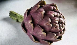 朝鲜蓟制作吃法 奇奇怪怪的“花苞”原来这样吃