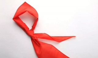 小学生红领巾的系法 你学会了吗