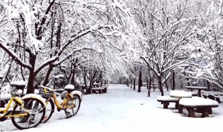 下雪发朋友圈该说啥 你会发了吗