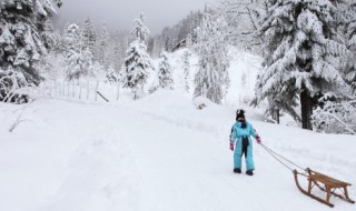 白雪皑皑中的皑皑是什么意思 白雪皑皑中的皑皑解释