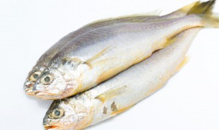 小黄鱼的营养价值以及家常做法 小黄鱼的营养价值以及怎么做