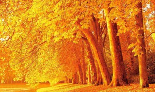 描写秋天丰收的诗句 关于秋天丰收的诗句
