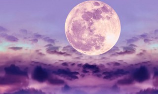 带月亮的诗句 带月亮的诗句有哪些