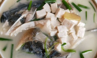 胖头鱼炖豆腐的做法 胖头鱼炖豆腐怎么做