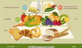 关于营养素的知识 关于营养素的知识是什么
