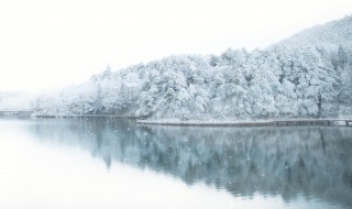 雪组词 雪的组词有哪些