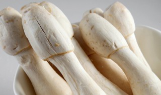 鸡腿蘑菇的做法大全 鸡腿蘑菇的烹饪方法