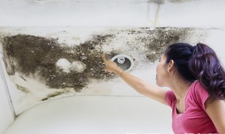 楼顶漏水用什么补漏最好 房顶漏水怎么处理