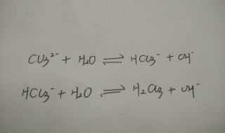 氢氧根和碳酸根共存吗 一起了解一下吧