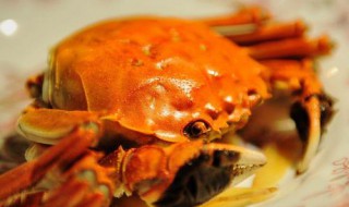螃蟹相克的食物 不宜和什么同吃