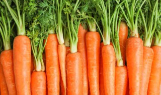 胡萝卜有什么好处和坏处 胡萝卜的好处和坏处介绍