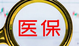 基本医疗保险怎么交（基本医疗保险怎么交费）