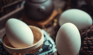 鹅蛋与鸭蛋功效与作用的区别（鹅蛋与鸭蛋的区别的功效与作用）