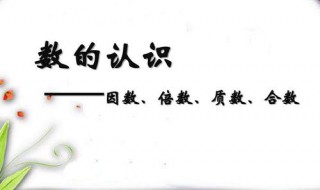 在1,2,5,7,9,11中,什么既是质数又是偶数（在1257911中什么既是质数又是偶数）