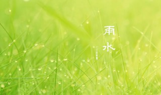 雨水节气吃什么好（雨水节气吃啥合适?）