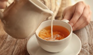 铁观音奶茶怎么做 紫观音奶茶怎么弄