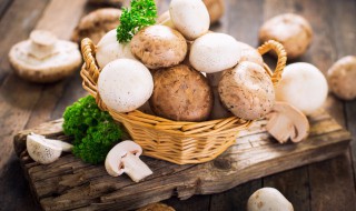 如何做牛排蘑菇酱 牛排蘑菇酱怎么做