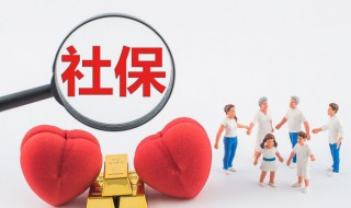 社保个人代码怎么查询 社保个人代码怎么查询缴费记录