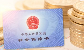 个人怎么申请社保卡 个人怎么申请社保卡余额