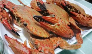 香煎螃蟹怎么做 如何做香煎石蟹
