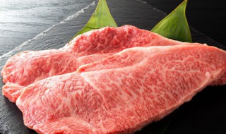 高压锅炖牛肉的好处有哪些呢 高压锅炖牛肉的好处有哪些