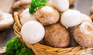 白蘑菇怎么炒好吃又简单易学 白蘑菇怎么炒做好吃法大全