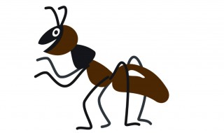 衣柜里有蚂蚁怎么办 衣柜与墙角有蚂蚁怎么办