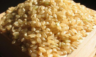 糙米的功能与食用方法视频 糙米的功能与食用方法