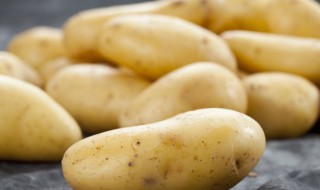 土豆发芽有毒吗还能吃吗 土豆发芽了有毒吗能吃吗