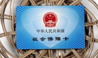 个人社保电脑号怎么查询 个人社保电脑号怎么查询缴费记录